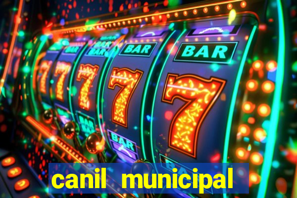 canil municipal porto alegre